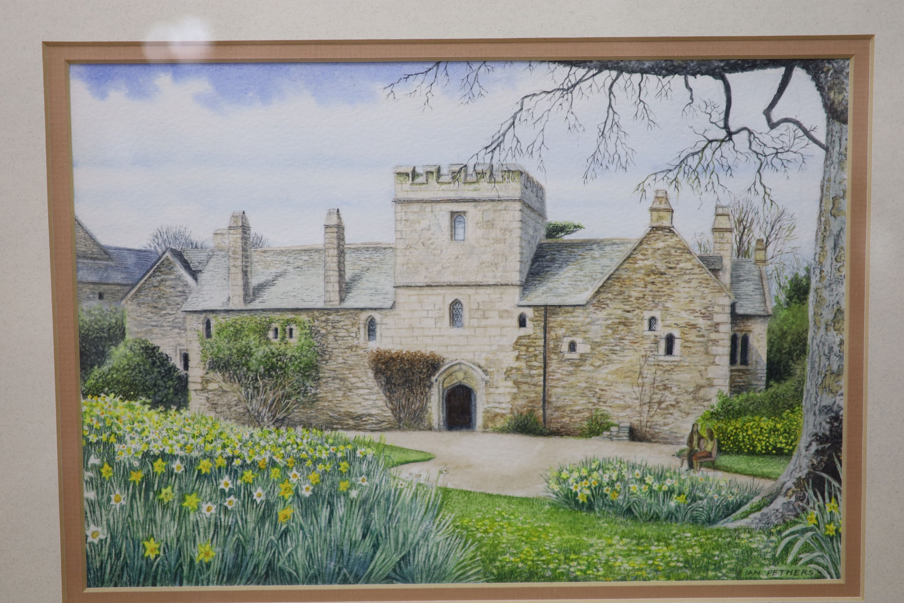 Ian Pethers SBA, six pen and wash drawings, Daffodils at Cotehele, Cornwall and water garden scenes, signed, most with exhibition labels, largest 26.5 x 18cm